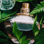 4 Perfumes Importados Favoritos das Mulheres