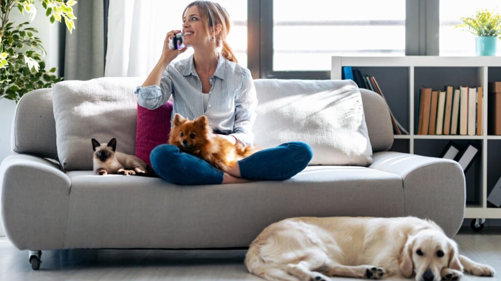 Blog sobre Pet Curiosidades
