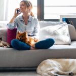 Blog sobre Pet Curiosidades