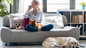 Blog sobre Pet Curiosidades